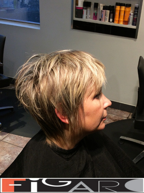 Bixie Cut HighLights Hair Figaro Hair Salon Toronto