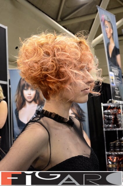 Graduated Bob Curly Hair Cupper Hair soft Pink Highlights at ABA TORONTO - Best Toronto's hair Salon