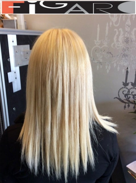 Classic hair coloring for blonde Figaro Hair Salon Toronto