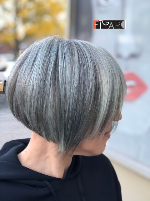 2020 Highlights by Award winning Figaro Salon in Toronto