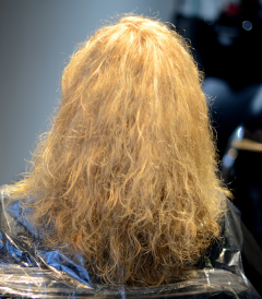 Goldwell Kerasilk before treatment